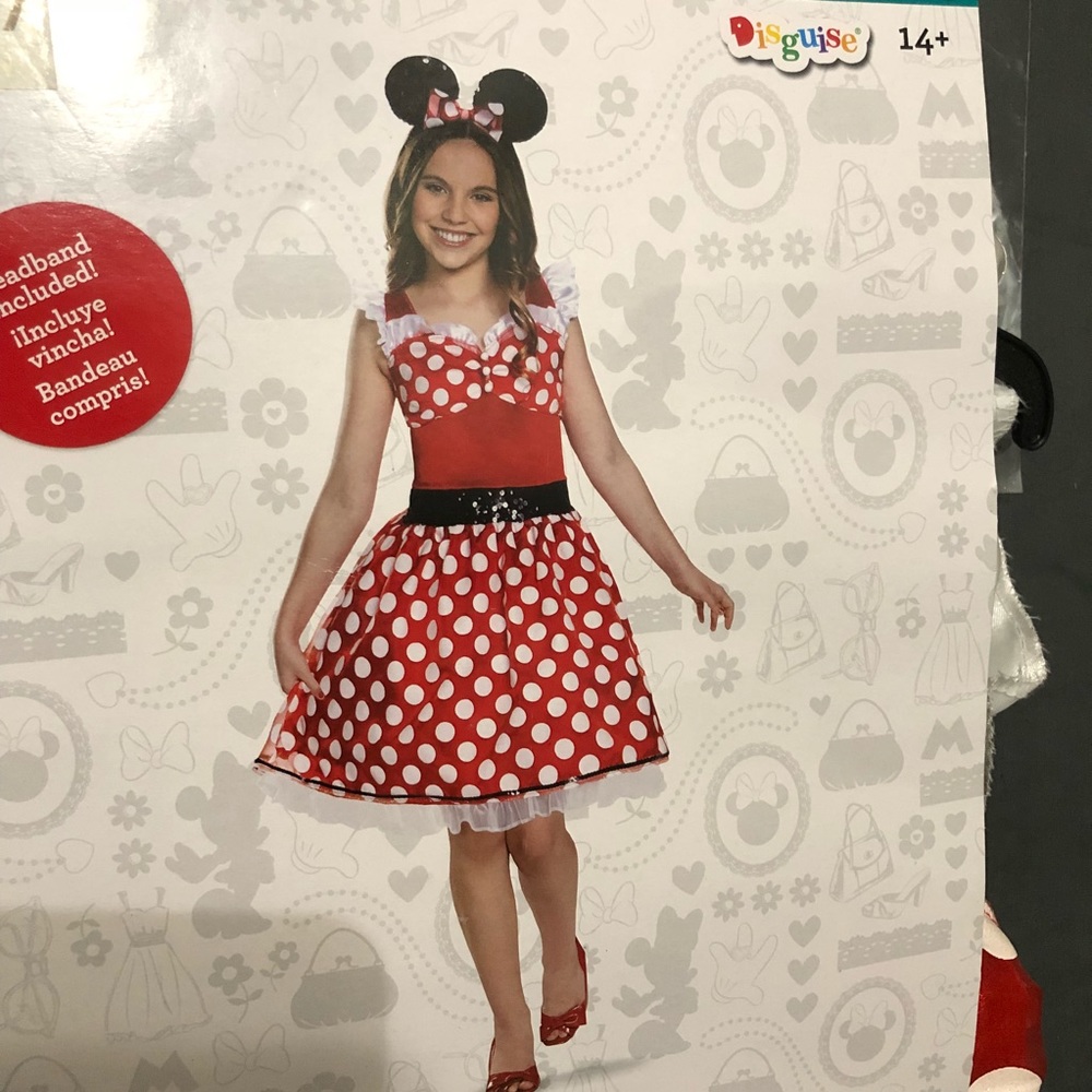 Minnie Mouse Costume